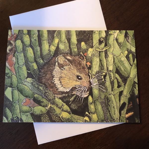 Marsh Mouse Greeting Card picture