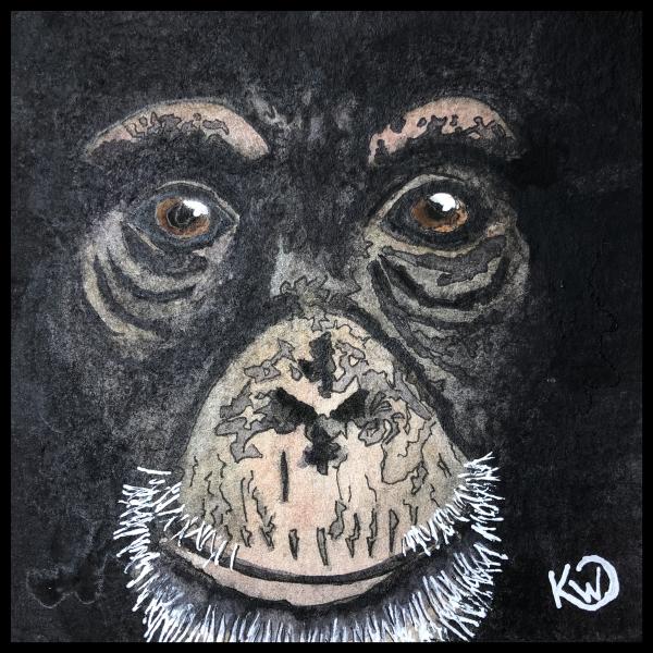 Watermini: Chimp Face picture