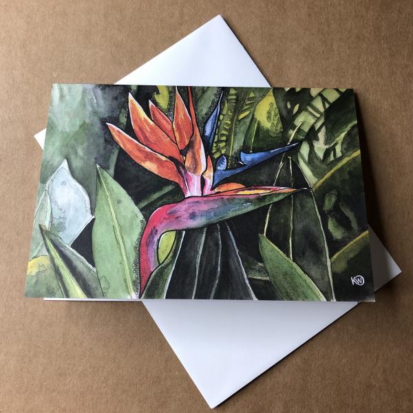 Bird of Paradise Greeting Card picture