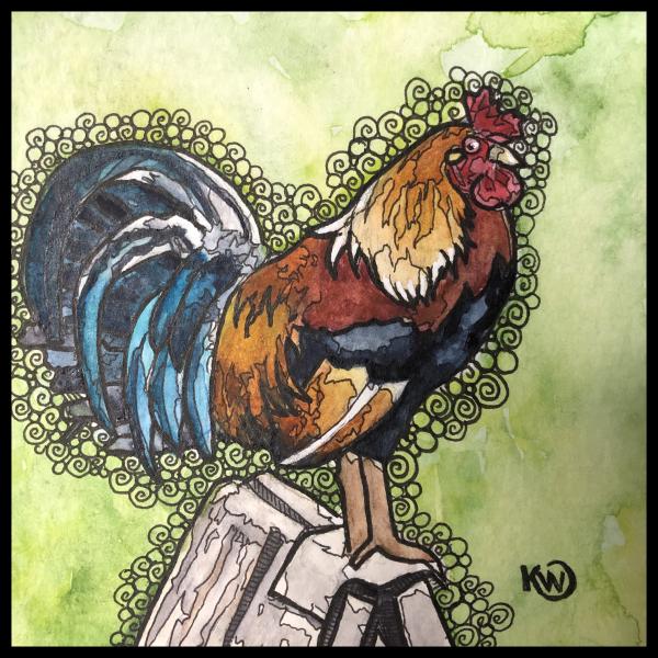 Watermini: Rooster picture