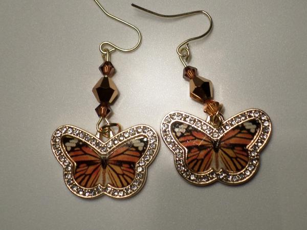 Bronze Butterfly picture