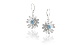 Blue Topaz Daisies picture