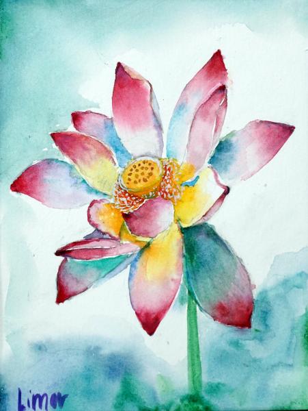 Lotus Flower picture