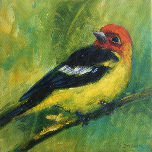 Western Tanager small bird oil painting picture