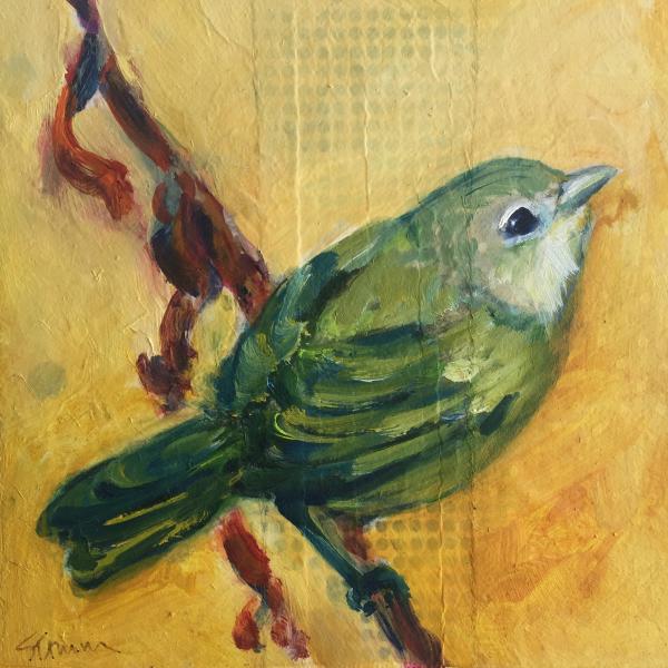 Gnatcatcher small bird oil painting picture