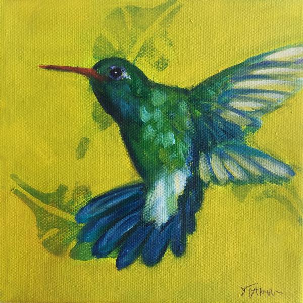 Broadbilled hummingbird small bird painting picture