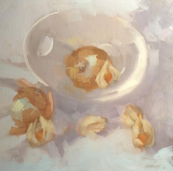 Physalis and Friends in the Winter Sun 12x12 picture