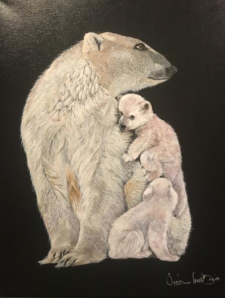 Polar bear family picture