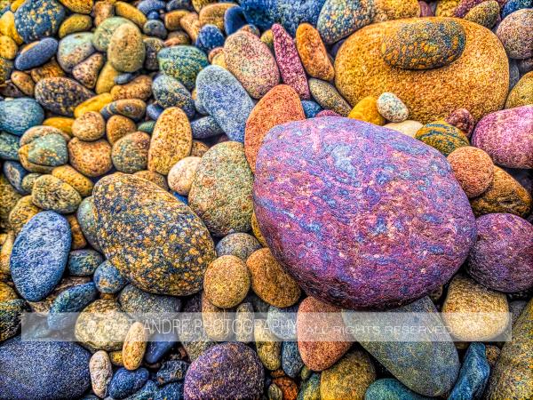 Beach Rocks © Patti Andre picture