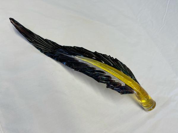 Feather, Multi-color picture