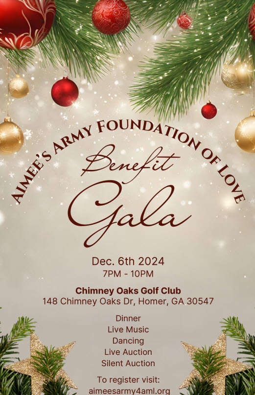 Aimee's Army Foundation of Love Benefit Gala