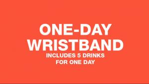 One-Day VIP Wristband cover picture