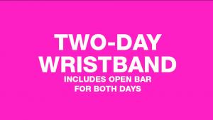 Two-Day VIP Wristband cover picture