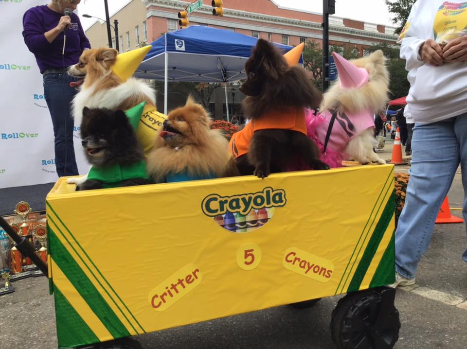 MUTTS: Pet Costume Contest