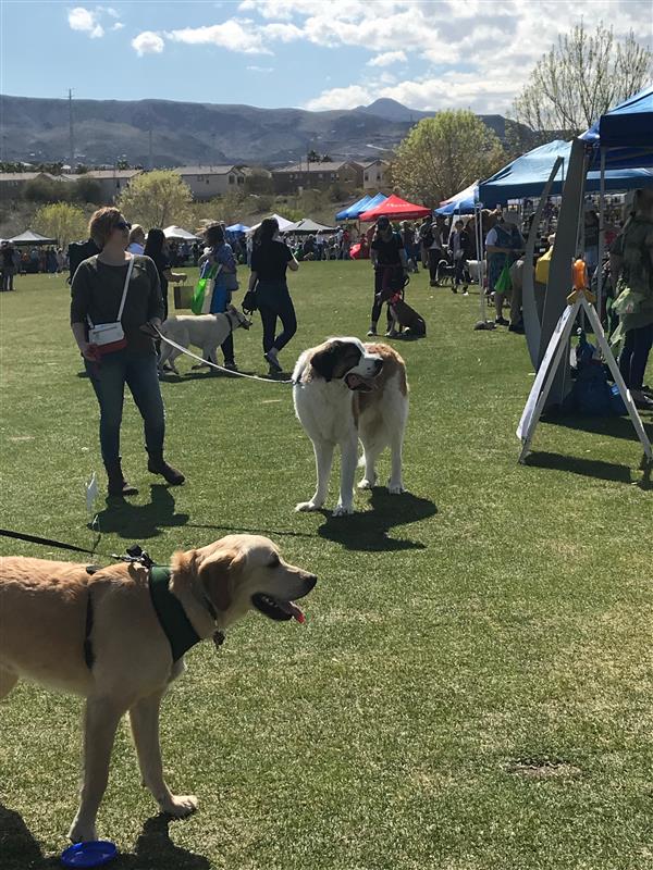 Bark in the Park! - NC Courage