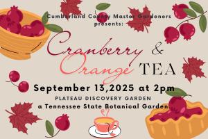 Cranberry & Orange Tea September 13, 2025 cover picture