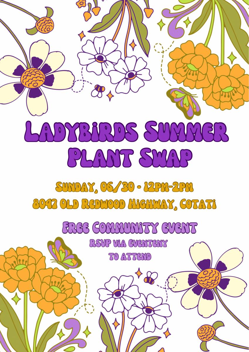 Ladybirds Summer Plant Swap