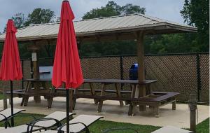 Rent Covered Picnic Table cover picture