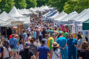 2025 Dunwoody Art Festival Artist Application