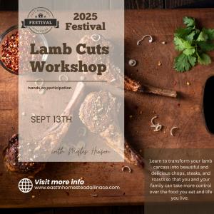 Lamb Cuts  Workshop - Hands On cover picture