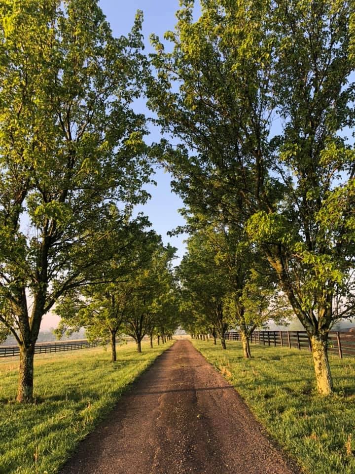 HorseSensing's Hometown Fall Festival & Craft Show cover image