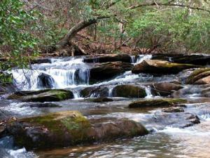 Lake Russell WMA Trail Ride cover picture