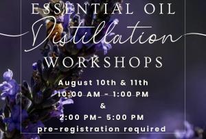 Essential Oil Distillation Workshop 8/10 10am cover picture