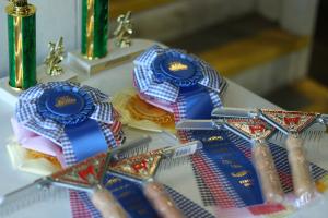 Junior Fair Awards