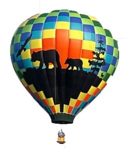 Hot Air Balloon Check-In