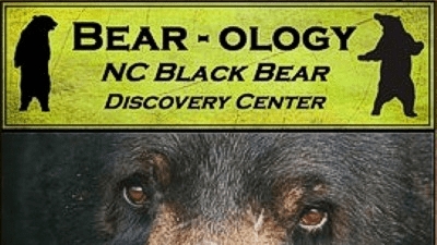 Bear-Ology Museum