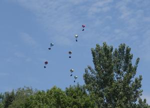 Parachuting Bear Toss