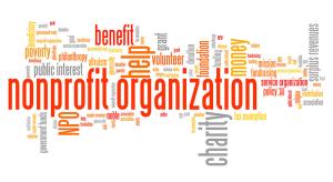 Non-Profit Organizations