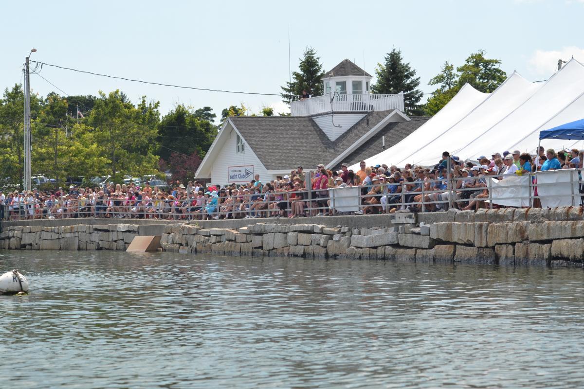 crowds from the sea wall view