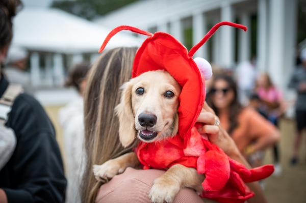 SEASIDE® Costume Contest @ Halloweener Derby