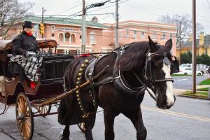 Holiday Carriage Ride (1:00 PM - 2:00 PM) cover picture