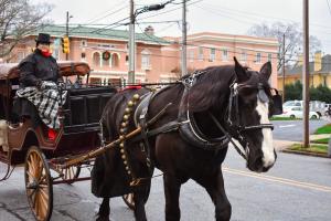 Holiday Carriage Ride (11:00 AM - 12:00 PM) cover picture