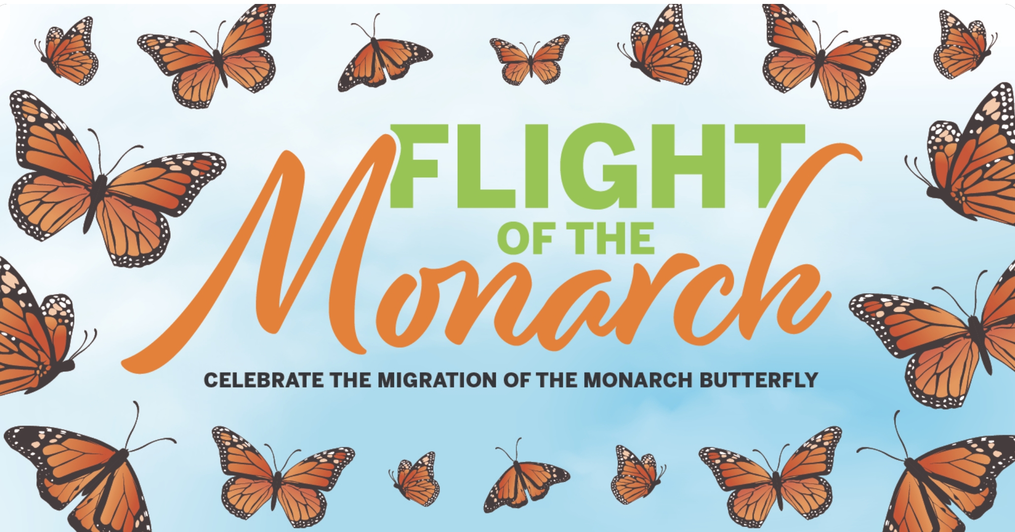 Flight of the Monarch