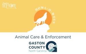 Gaston County Animal Care & Enforcement Donation cover picture