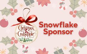 Snowflake Sponsor | $250