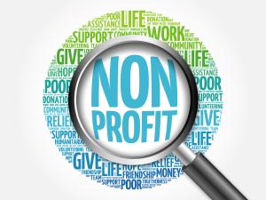 Non-Profit Organizations