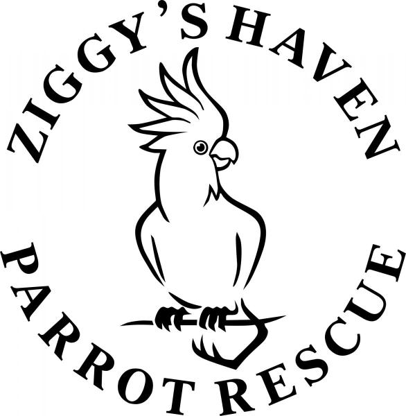 Ziggy's Haven 7th Annual  Open House