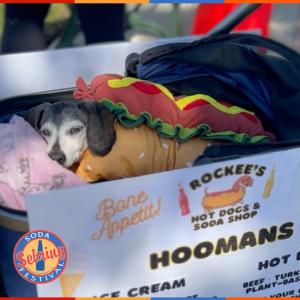 Pet Costume Contest Presented by Bed & Biscuit Pet Resort