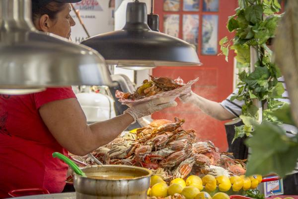 Food Vendors