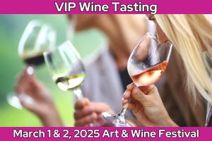 VIP Wine Tasting Package cover picture