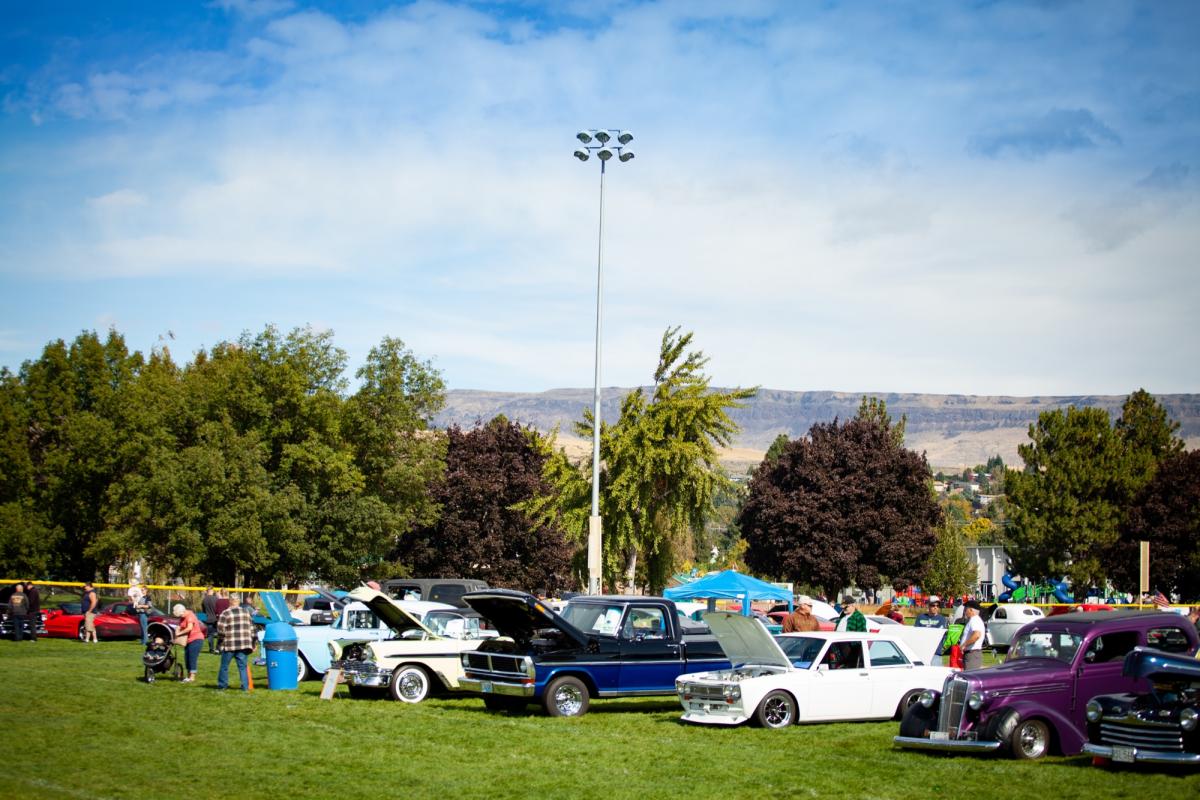 Vintage cars parked side-by-side on grass.