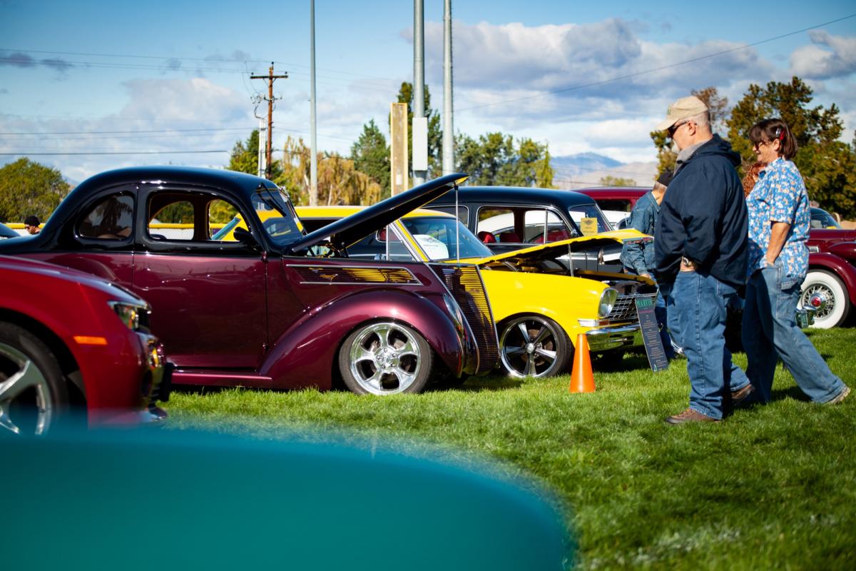 Vintage cars parked side-by-side on grass.