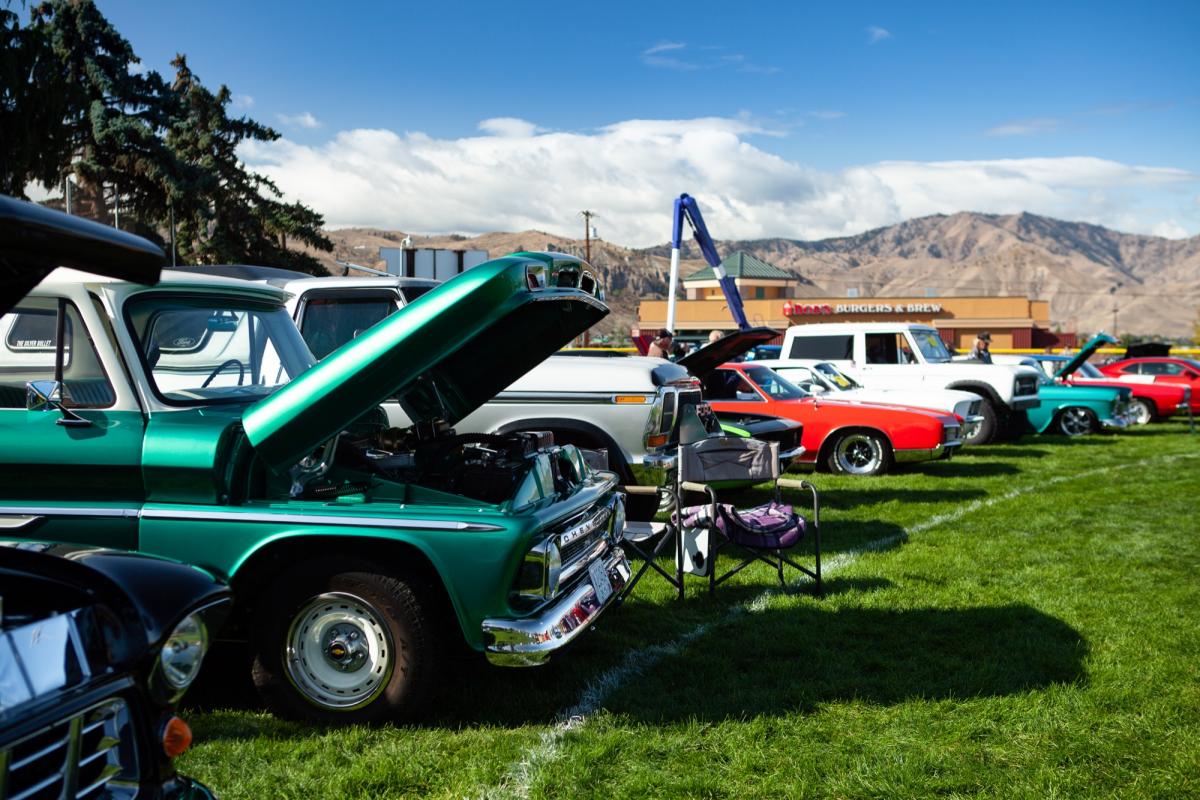 Vintage cars parked side-by-side on grass.