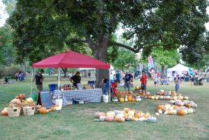 Wine & Harvest  Festival Marketplace Vendor Application