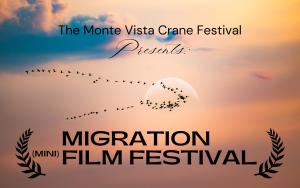 Migration Mini Film Festival cover picture