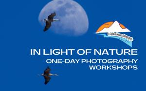 In Light of Nature Photography Workshop cover picture